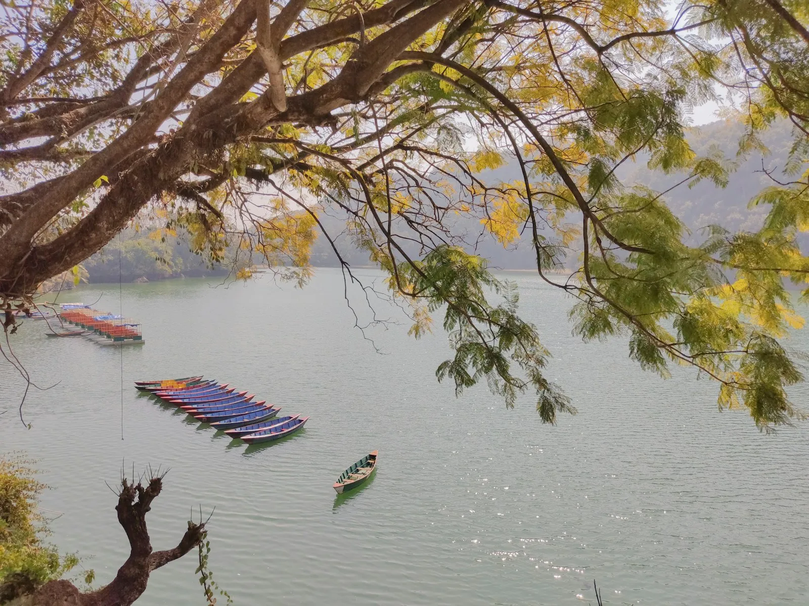The beautiful lakes of Pokhara — places that locals take pride in.